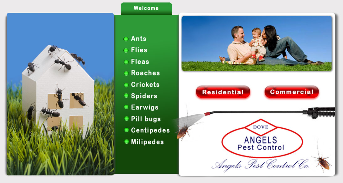Kalamazoo Pest Control Angels Pest Control